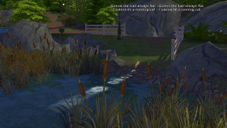 thumb 337-30.06.21_00-41-42.jpg