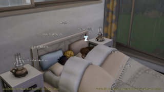 thumb 125-28.01.22_05-49-26.jpg