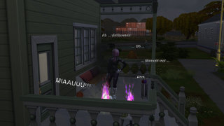 thumb 848-25.11.22_00-46-18.jpg