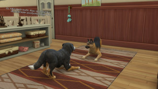 thumb 485-09.08.24_20-32-00.jpg