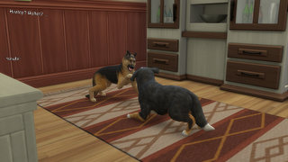 thumb 486-09.08.24_20-32-56.jpg