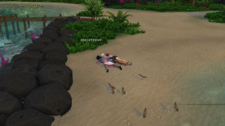 thumb 904-28.08.24_21-03-25.jpg
