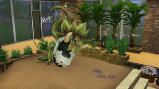 thumb 343-15.12.24_01-50-08.jpg