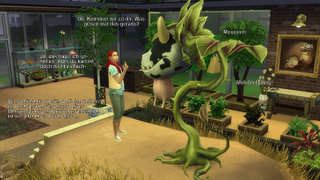 thumb 348-13.12.24_22-41-27.jpg