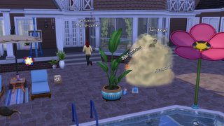 thumb 843-07.04.25_17-50-58.jpg